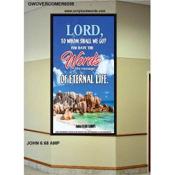 WORDS OF ETERNAL LIFE   Biblical Art Acrylic Glass Frame    (GWOVERCOMER6559)   "44X62"