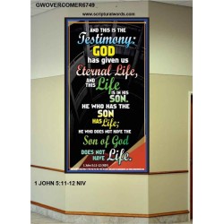 THE TESTIMONY GOD HAS GIVEN US   Christian Framed Wall Art   (GWOVERCOMER6749)   