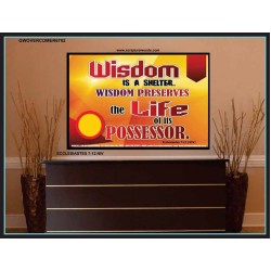 WISDOM   Framed Bible Verse   (GWOVERCOMER6782)   "62x44"