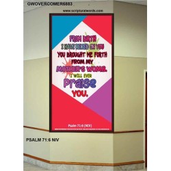 YOU BROUGHT ME FROM MY MOTHERS WOMB   Biblical Art Acrylic Glass Frame    (GWOVERCOMER6883)   