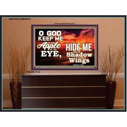 UNDER THE SHADOW OF THY WINGS   Frame Scriptural Wall Art   (GWOVERCOMER8275)   "62x44"