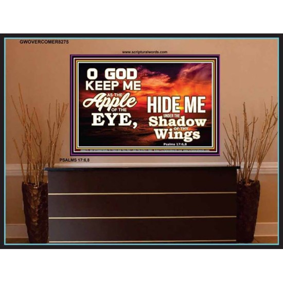 UNDER THE SHADOW OF THY WINGS   Frame Scriptural Wall Art   (GWOVERCOMER8275)   