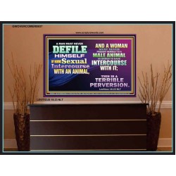 SEXUAL IMMORALITY   Portrait of Faith Wooden Framed   (GWOVERCOMER8937)   