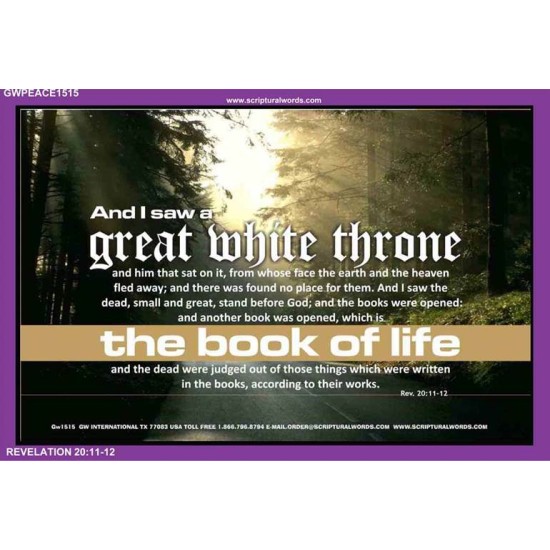 A GREAT WHITE THRONE   Inspirational Bible Verse Framed   (GWPEACE1515)   