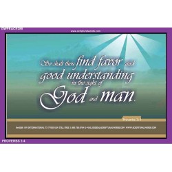 GOOD UNDERSTANDING   Inspirational Bible Verses Framed   (GWPEACE288)   