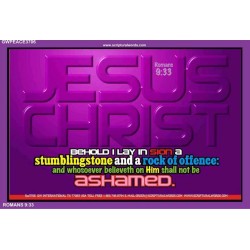 WHOSOEVER BELIEVETH ON HIM SHALL NOT BE ASHAMED   Custom Frame Inspiration Bible Verse   (GWPEACE3706)   