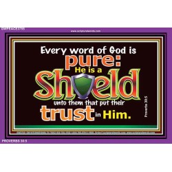 HE IS A SHIELD   Large Frame Scripture Wall Art   (GWPEACE3755)   