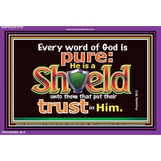 HE IS A SHIELD   Large Frame Scripture Wall Art   (GWPEACE3755)   