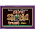 HE IS A SHIELD   Large Frame Scripture Wall Art   (GWPEACE3755)   "14x12"