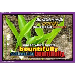 REAP BOUNTIFULLY   Bible Verse Frame for Home Online   (GWPEACE3769)   