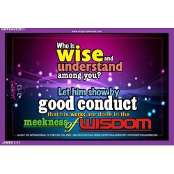 WISDOM   Scriptural Framed Signs   (GWPEACE3817)   