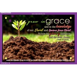 GROW IN GRACE   Bible Scriptures on Forgiveness Frame   (GWPEACE3894)   