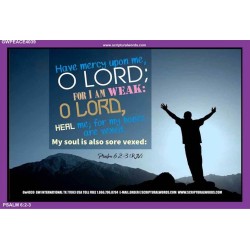 HEAL ME O LORD   Christian Frame Wall Art   (GWPEACE4039)   