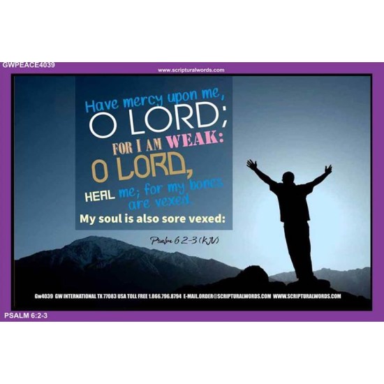 HEAL ME O LORD   Christian Frame Wall Art   (GWPEACE4039)   