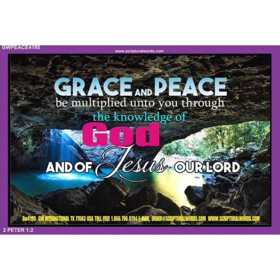 GRACE AND PEACE   Bible Verse Framed Art   (GWPEACE4195)   