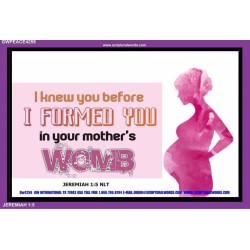 I FORMED YOU IN YOUR MOTHERS WOMB   Bible Verse Frame Online   (GWPEACE4259)   