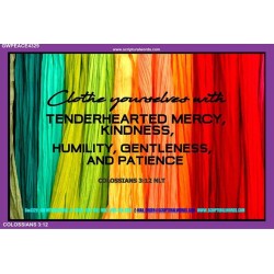 HUMILITY GENTLENESS AND PATIENCE   Framed Art Prints   (GWPEACE4329)   