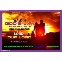 GODS LAW   Custom Wall Scripture Art   (GWPEACE4383)   