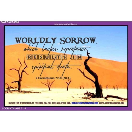 WORDLY SORROW   Custom Frame Scriptural ArtWork   (GWPEACE4390)   