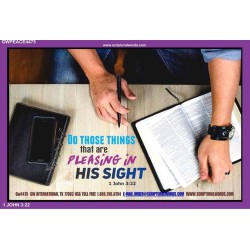 IN HIS SIGHT   Large Frame Scripture Wall Art   (GWPEACE4475)   