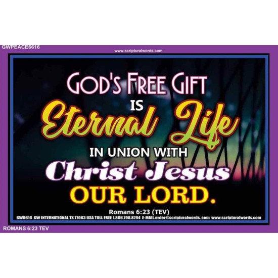 GODS FREE GIFT   Framed Bible Verses   (GWPEACE6616)   