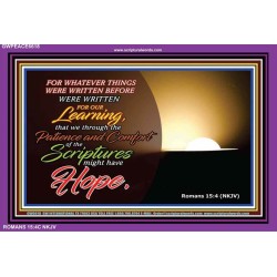 HOPE   Bible Verses Framed Art   (GWPEACE6618)   