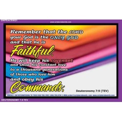 GOD IS FAITHFUL   Inspirational Bible Verses Framed   (GWPEACE6621)   