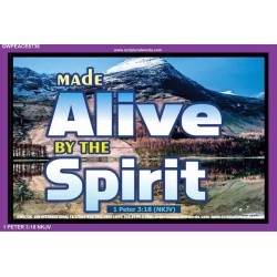 ALIVE BY THE SPIRIT   Framed Guest Room Wall Decoration   (GWPEACE6736)   