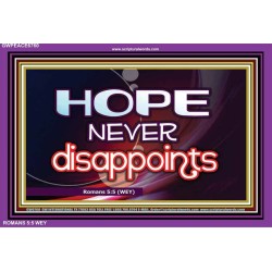 HOPE NEVER FAILS   Framed Lobby Wall Decoration   (GWPEACE6760)   