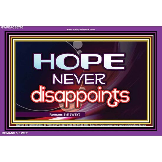 HOPE NEVER FAILS   Framed Lobby Wall Decoration   (GWPEACE6760)   