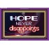 HOPE NEVER FAILS   Framed Lobby Wall Decoration   (GWPEACE6760)   "14x12"