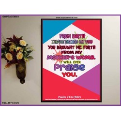 YOU BROUGHT ME FROM MY MOTHERS WOMB   Christian Quote Poster   (GWPEACE6883)   