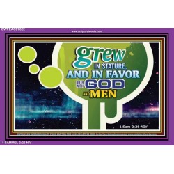 GODS FAVOR   Encouraging Bible Verse Framed   (GWPEACE7822)   