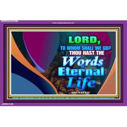 WORDS OF ETERNAL LIFE   Christian Artwork Acrylic Glass Frame   (GWPEACE7895)   
