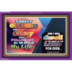 GOODNESS AND MERCY   Inspirational Wall Art Wooden Frame   (GWPEACE7935)   