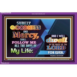 GOODNESS AND MERCY   Christian Artwork Acrylic Glass Frame   (GWPEACE7938)   