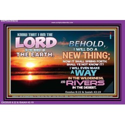 I WILL DO A NEW THING   Bible Verse Wall Art   (GWPEACE8232)   