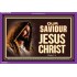 JESUS CHRIST   Custom Wall Art   (GWPEACE8285)   "14x12"