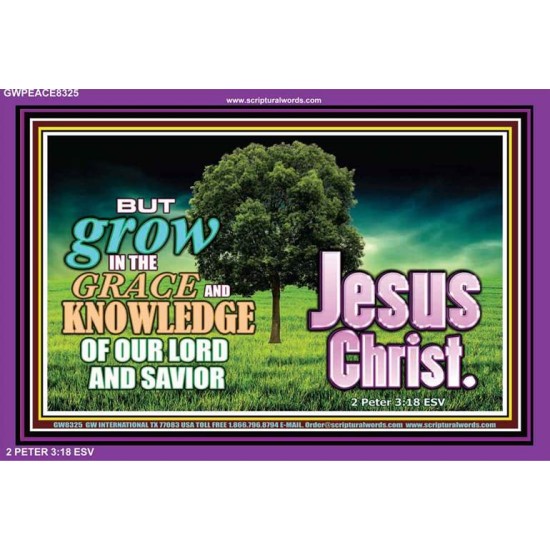 GROW IN GRACE   Inspirational Bible Verses Framed   (GWPEACE8325)   