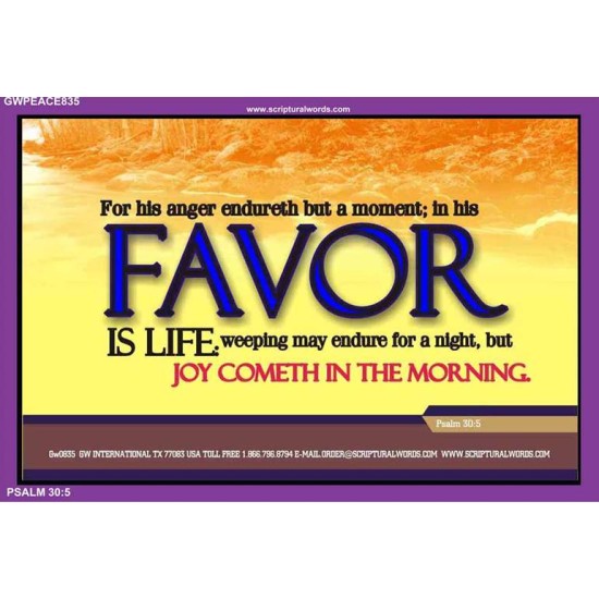 IN HIS FAVOR IS LIFE   Custom Art and Wall Dcor   (GWPEACE835)   