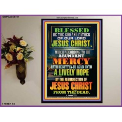 ABUNDANT MERCY   Contemporary Christian Wall Art Poster   (GWPEACE8731)   