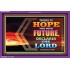 HOPE FOR YOUR FUTURE   Framed Bedroom Wall Decoration   (GWPEACE8919)   "14x12"