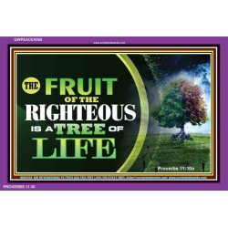 FRUIT OF THE RIGHTEOUS   Inspirational Bible Verses Framed   (GWPEACE9268)   