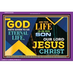 GOD HAS GIVEN US ETERNAL LIFE OUR LORD JESUS CHRIST   New Wall Dcor   (GWPEACE9356)   