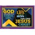 GOD HAS GIVEN US ETERNAL LIFE OUR LORD JESUS CHRIST   New Wall Dcor   (GWPEACE9356)   "14x12"