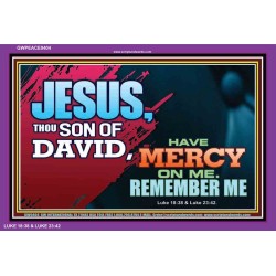 HAVE MERCY ON ME O LORD   Large Framed Scripture Wall Art   (GWPEACE9404)   