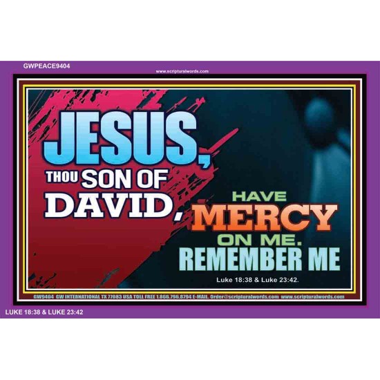 HAVE MERCY ON ME O LORD   Large Framed Scripture Wall Art   (GWPEACE9404)   