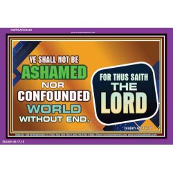 YOU SHALL NOT BE SHAME   Encouraging Bible Verses Frame   (GWPEACE9432)   