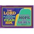 HOPE IN HIS MERCY   Framed Bible Verse   (GWPEACE9443)   "14x12"