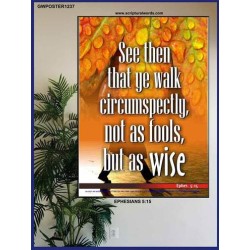 WALK CIRCUMSPECTLY NOT AS FOOLS BUT AS WISE,   Bible Verse Framed Art Prints   (GWPOSTER1237)   